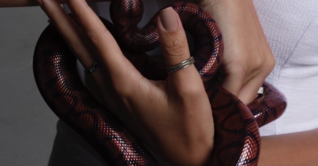 photo-of-snake